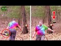 Idiots With Chainsaws: Tree Cutting Fails | Extreme Dangerous Logging Truck Fails #15