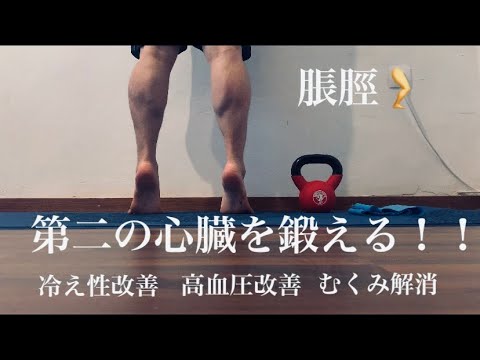 第二の心臓を鍛える ふくらはぎを鍛えて冷え性 高血圧 浮腫を改善 Youtube