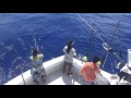 2017 Bermuda Big Game | Team Paradise One | Blue Marlin