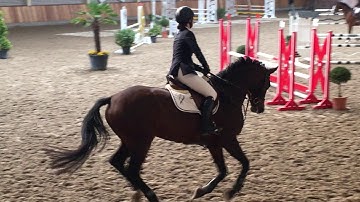 Iselottie van Wegen. Mare 2013 Numero Uno x Guidam. Lottie Zottie prestation damline