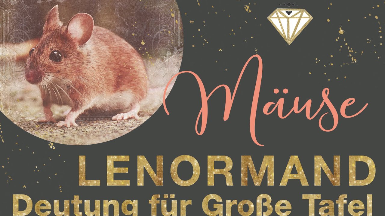 Lenormand Karte die Mäuse 🐁 - Deutung und Funktion in der Großen Tafel