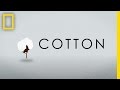 How Your T-Shirt Can Make a Difference | National Geographic