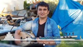 MEHMET ŞİMŞEK | DİLEK AĞACI #SAMSUNVEZİRKÖPRÜ55 Resimi