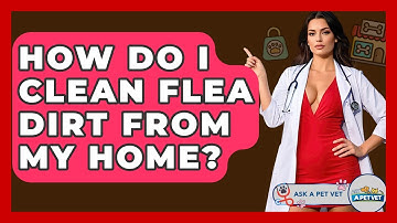 How Do I Clean Flea Dirt From My Home? - Ask A Pet Vet