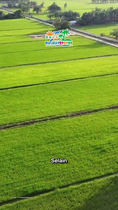 📍Tanjung Karang, Selangor #holidaygogogo #tanjungkarang #selangor #malaysia #travel #agrotourism