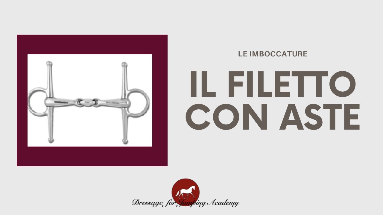 il filetto con le aste #dressageforjumping #equitazione