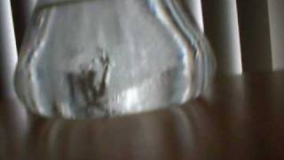 Roor Milk Rip
