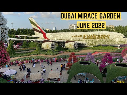 Miracle Garden Dubai 2022 || June 2022 ||  The World's Largest Natural Flower Garden