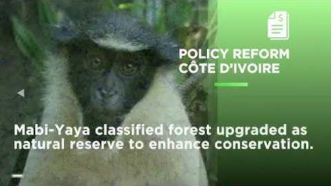 Cocoa & Forests Initiative Achievements 2018 - 2019