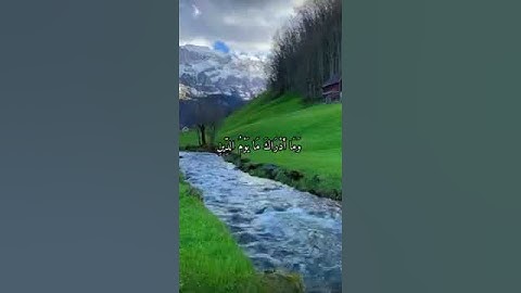 #قرآن #قران_كريم#تلاوات  #راحة_نفسية #سكينة #سوره #هدوء #quran #qurankareem