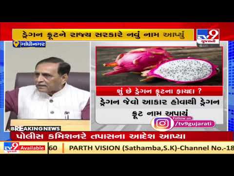 Gujarat CM Vijay Rupani renames 'Dragon Fruit' as "Kamalam" | TV9gujaratinews