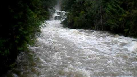 Camp Potlatch (Potlatch Creek)