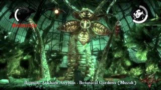 Video thumbnail of "Batman Arkham Asylum - Botanical Gardens (Muzak)"