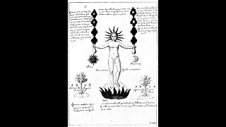 Details Santos Bonacci - The Elements of the Periodic Table & Natural Science News