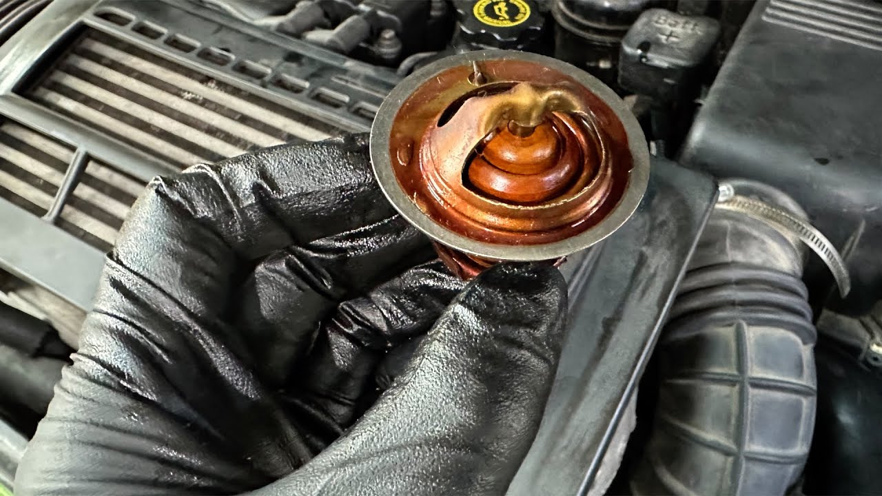 두 번 다시는 미니쿠퍼 1세대의 내구성을 의심하지 말 것