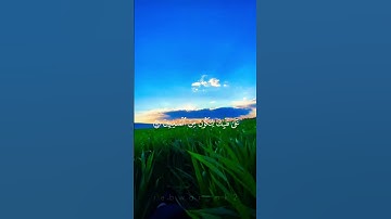 القارئ | ياسر_الدوسري
