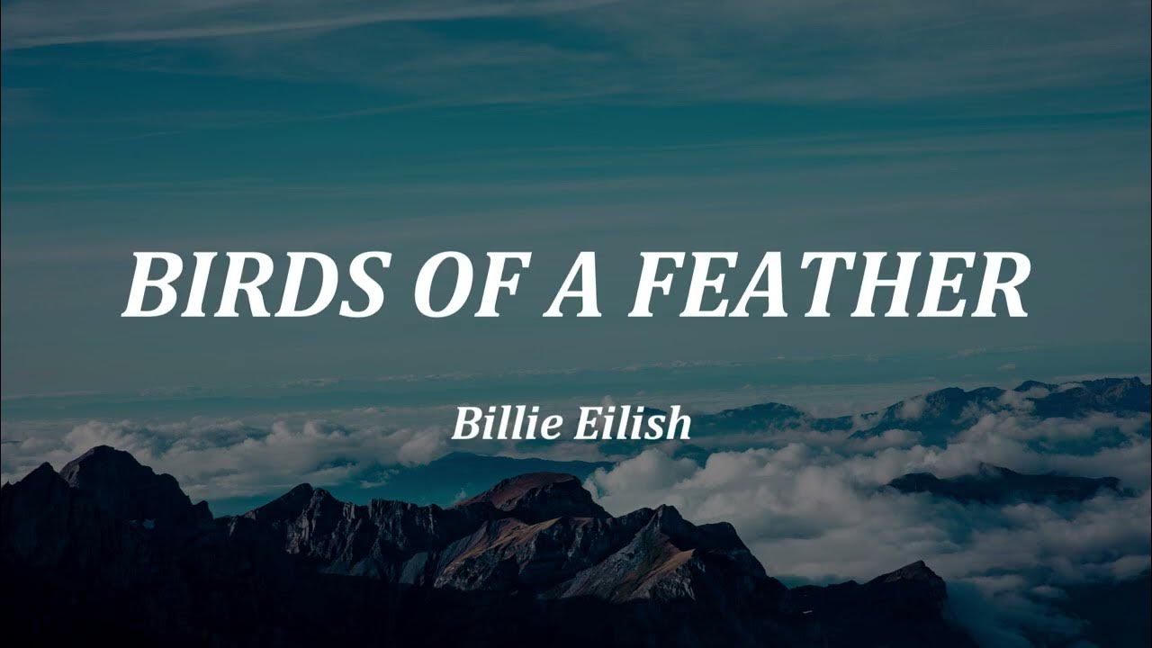 Billie Eilish - BIRDS OF A FEATHER (Lyrics) Billie Eilish - BIRDS OF A FEATHER (Lyrics)