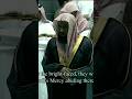 Sheikh Shuraim beautiful Quran Recitation #shorts
