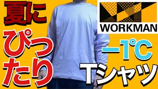 【ワークマン 】コスパ最高！夏Tはこれに決まり❗️持続冷感−1℃コットンオーバーサイズ長袖Tシャツ