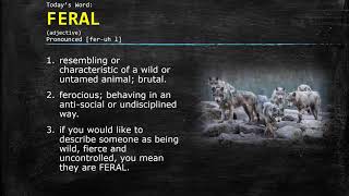 Word of the Day: FERAL