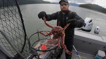 Pot-Full of Baby King Crabs! Fishing - Juneau, Alaska!
