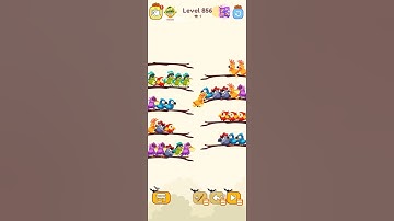 Bird sort calar game leval 856 #games #leveldesign #colorgame #gameartdesign #colorconcept #gameplay