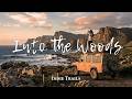 Into the Wild | Cozy Indie Folk for Long Drives