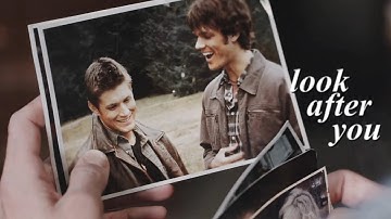 Multirelationships | look after you