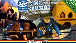 sea life! even more to see! a day tour of mystic aquarium. part 3
