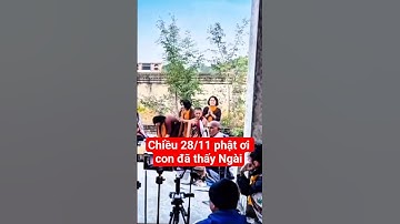 chiều 28/11 phật ơi con đã thấy Ngài#suminhtue #shortvideo