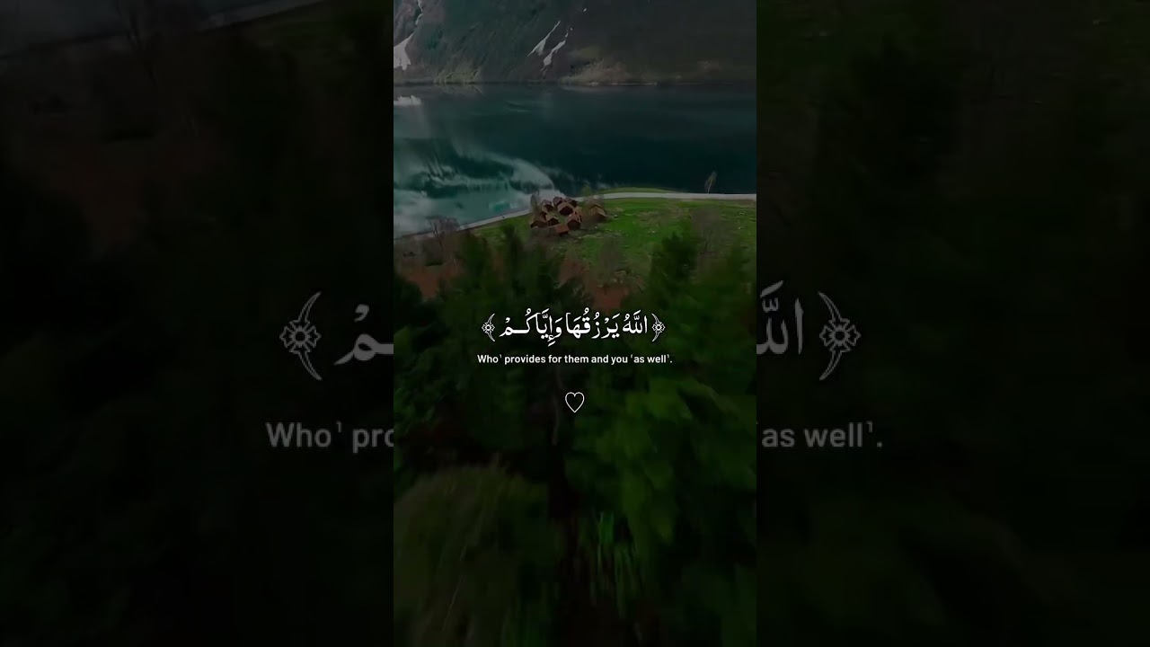 A most viral recitation in the world #beautifulrecitation #viralrecitation #peacefulvoice