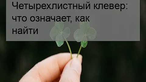 Четырехлистный клевер: что означает, как найти