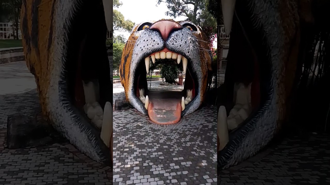 Lion 🦁 roaring 🤯 | Alex and rus