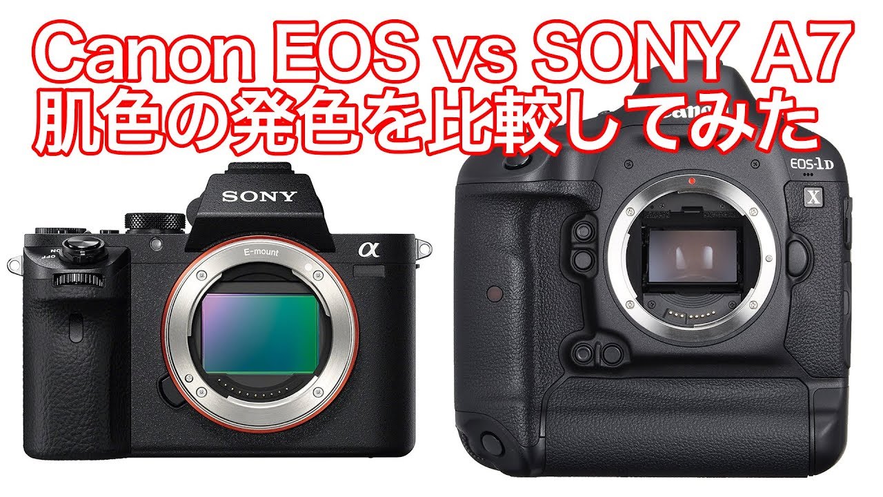 Canon EOS と SONY A7のJPGでの肌色の発色の比較をしてみた