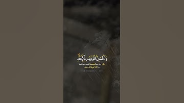 الَّذِينَ آمَنُوا وَتَطْمَئِنُّ قُلُوبُهُم بِذِكْرِ اللَّهِ ۗ القارئ (عبد الله الخلف) 🌻.