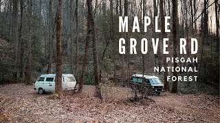 Another Forest Road Campout | Pisgah National Forest