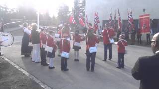 Flaggheising