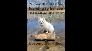 Luna's training to becoming an ESA