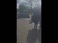Берлин. Район Шпандау, небольшой обзор. Альтштадт Шпанду. Шпанду Штаакен.