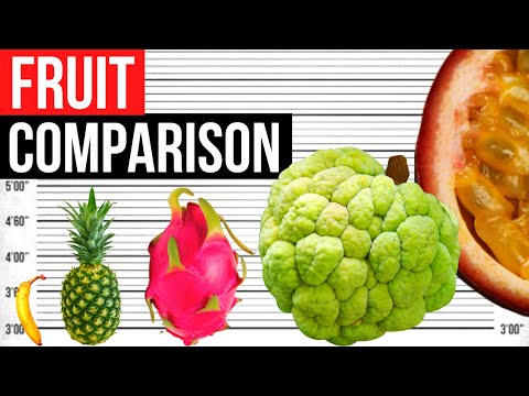 Fruit Size Comparison | Biggest in the World