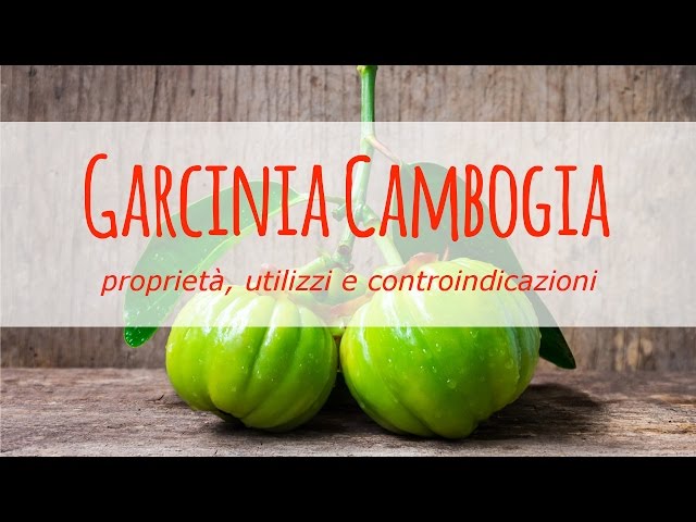 garcinia cambogia non dimagrisco