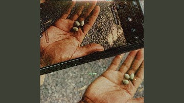 On The Brink Of Extinction