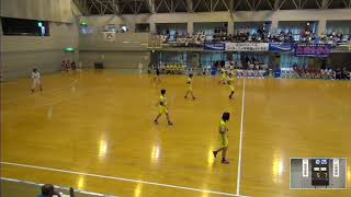 2019年IH ハンドボール 女子 2回戦 桜花学園（愛知）VS 小林秀峰（宮崎）