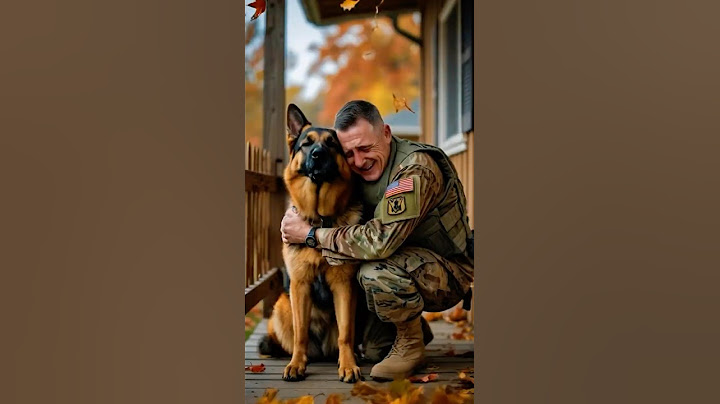 "After Years Apart… His Loyal Dog Still Remembers Him 😢❤️"