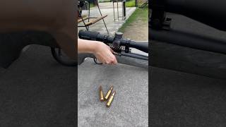 .308 Bolt Action​ Remington​ 700