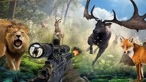 wild hunt hunting games 3d / game play 🦌