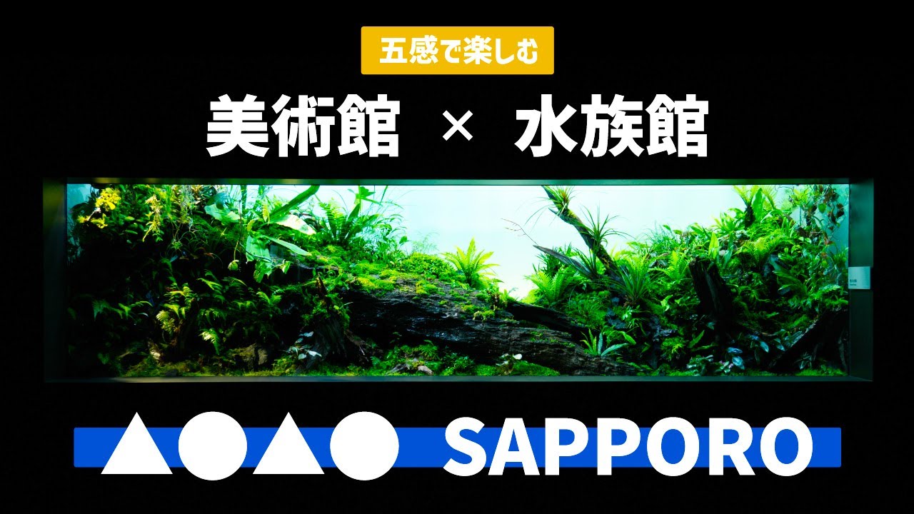 【ADA×ペンギン】美術館みたいな水族館！北海道初都市型水族館『AOAO SAPPORO』の魅力を徹底紹介！