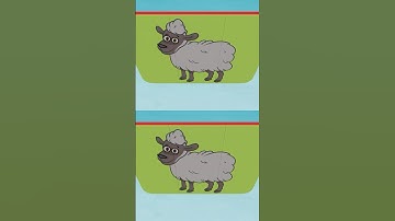 Turn And Learn! 🐑 Let’s spell together! #funlearningactivities #supersimple #abc