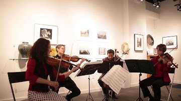 Michael McLean, Fandango