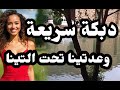 دبكة سريعة نشلة وعدتينا تحت التينة وما جينينا